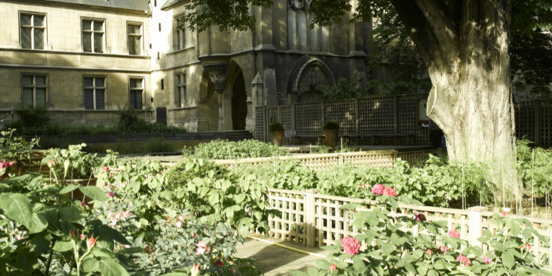 Recréation du jardin historique 