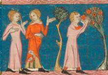 roman-rose-bnf